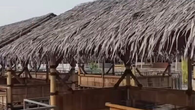 Stres Lenyap Seketika, Rumah Apung Pulau Burung Kota Serang Tawarkan Terapi di Tengah Hutan Mangrove