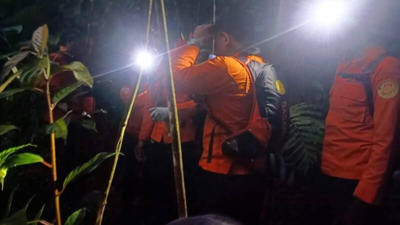 Basarnas Bali Evakuasi 4 Pendaki di Gunung Batukaru Bali.