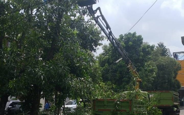 Antisipasi Cuaca Ekstrem, Pohon Potensi Tumbang di Kota Tangerang Dipangkas